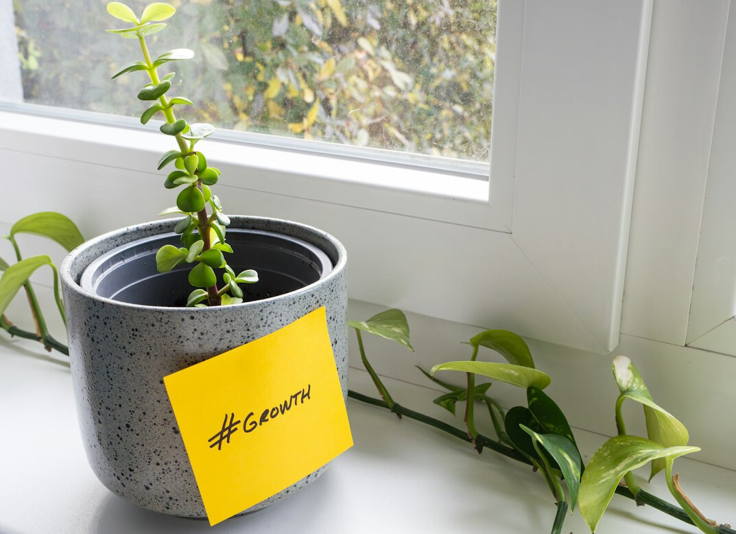 Welcoming desk with a laptop, a plant and a notebook near a window
